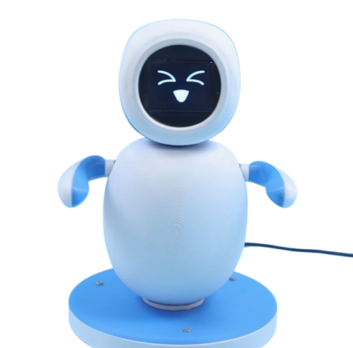 SoulLink Robot